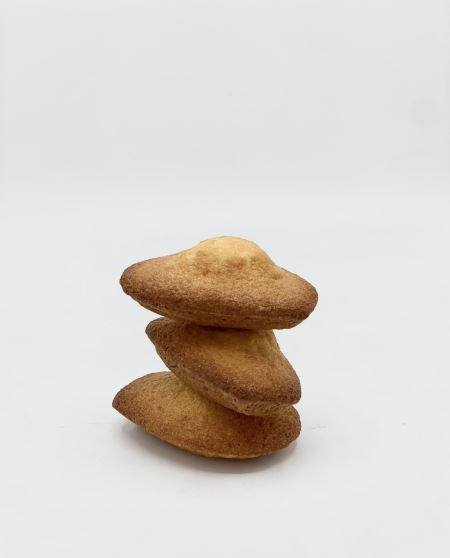 مدلن